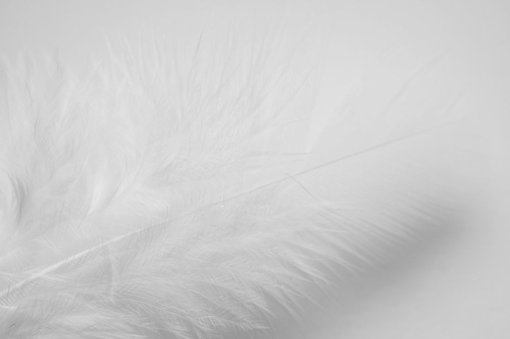 Photograph by Svetlana Jegorova