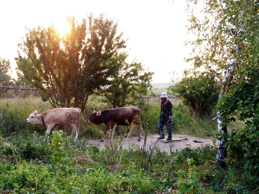 Photograph by Глеб Кузьминых