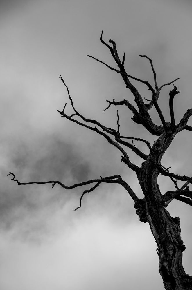 Photograph by Svetlana Jegorova