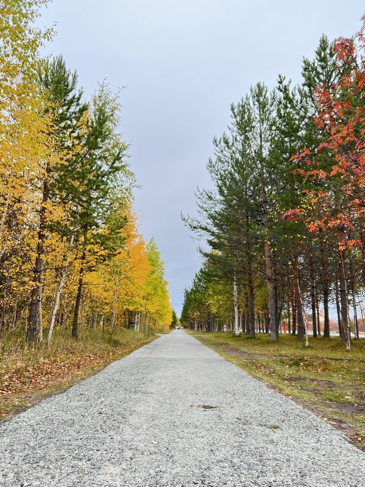 Photograph by Natalia Nastepanina