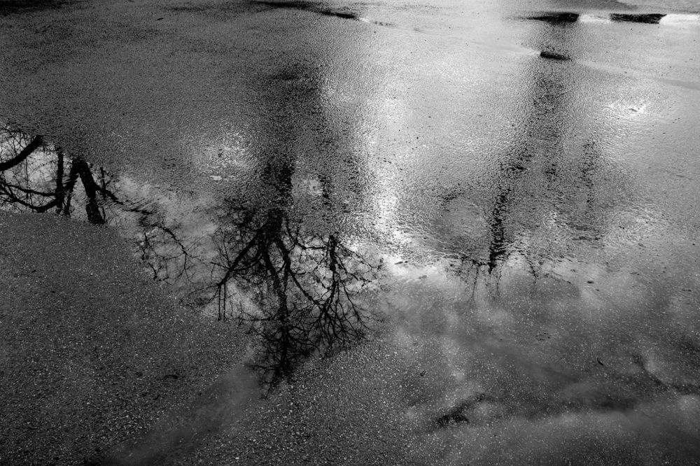 Photograph by Svetlana Jegorova