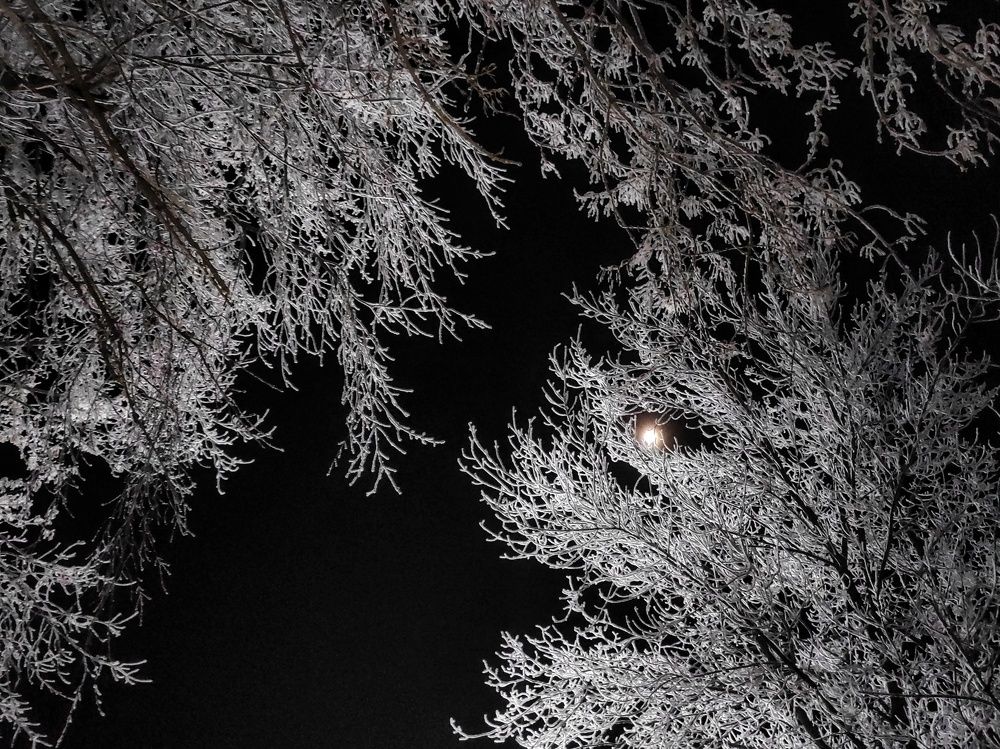 Photograph by Николай Захаров