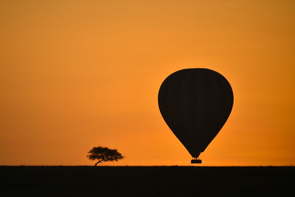 Photograph by Mahlagha Zarabian