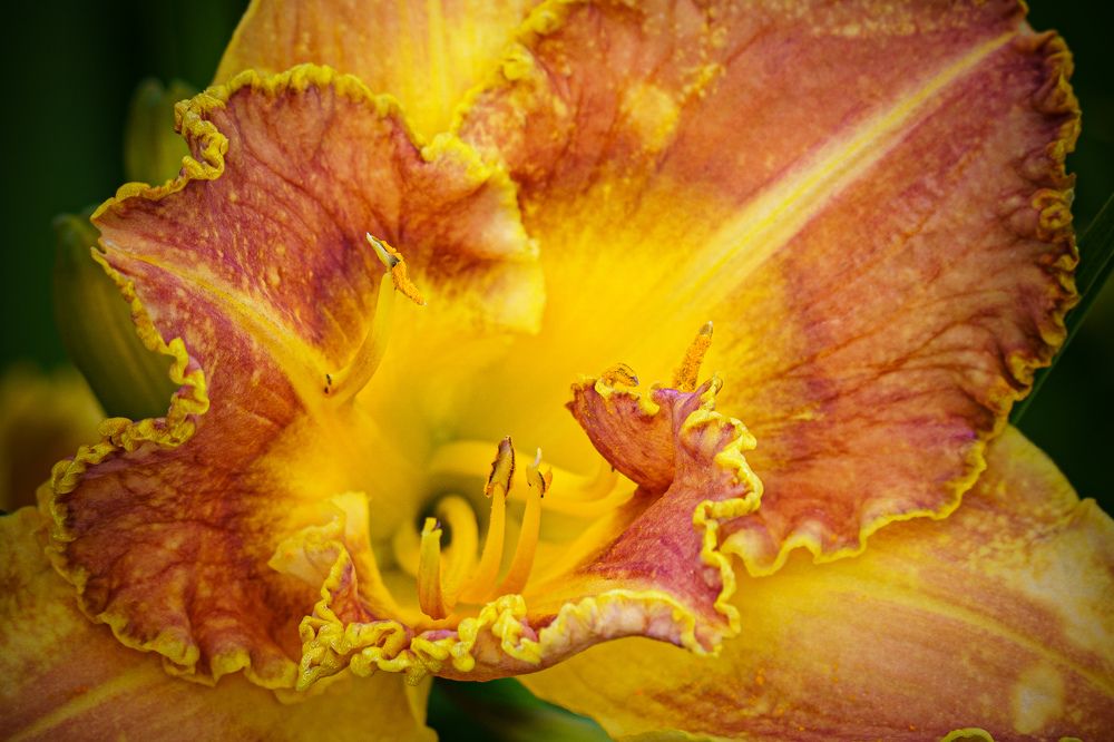 Photograph by Valdis Serzhans