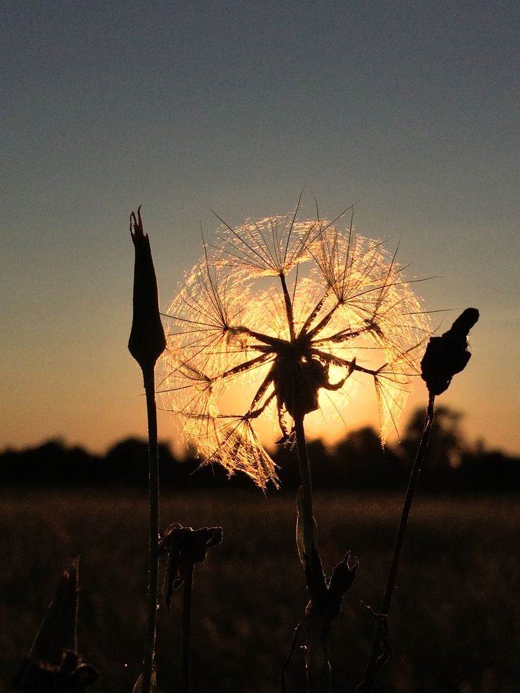 Photograph by Сергей Байбаков