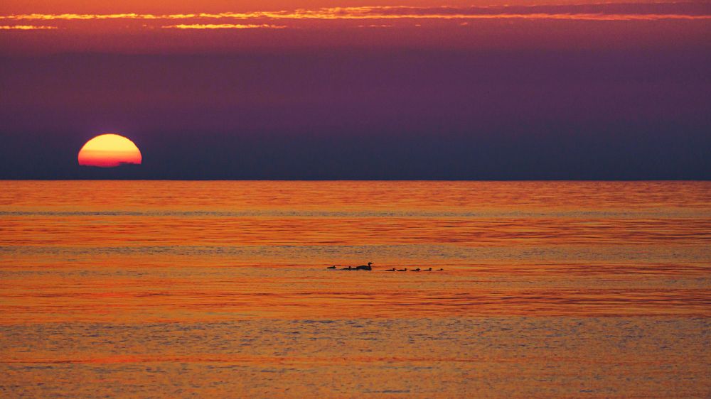 Photograph by Valdis Serzhans