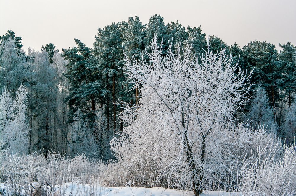 Photograph by Николай Захаров