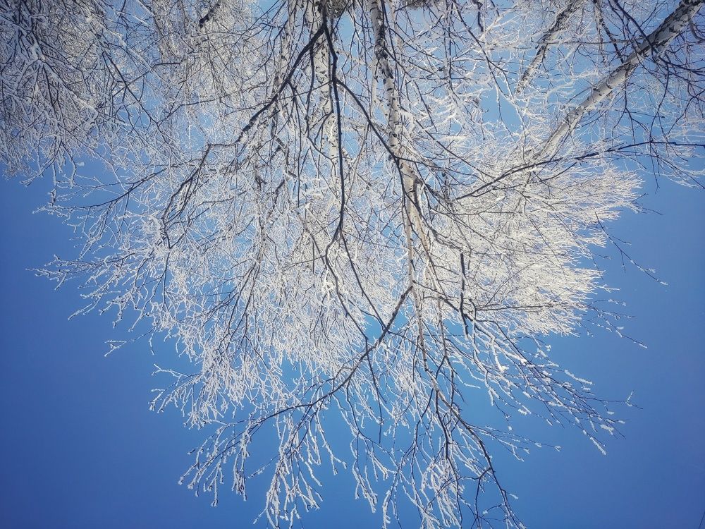 Photograph by Николай Захаров