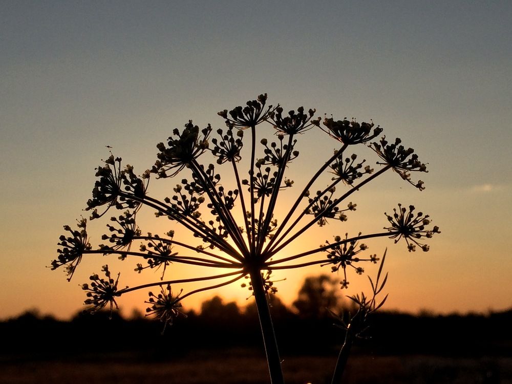 Photograph by Сергей Байбаков