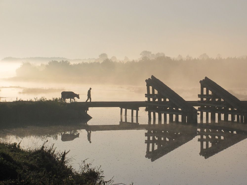 Photograph by Петр Нефедьев