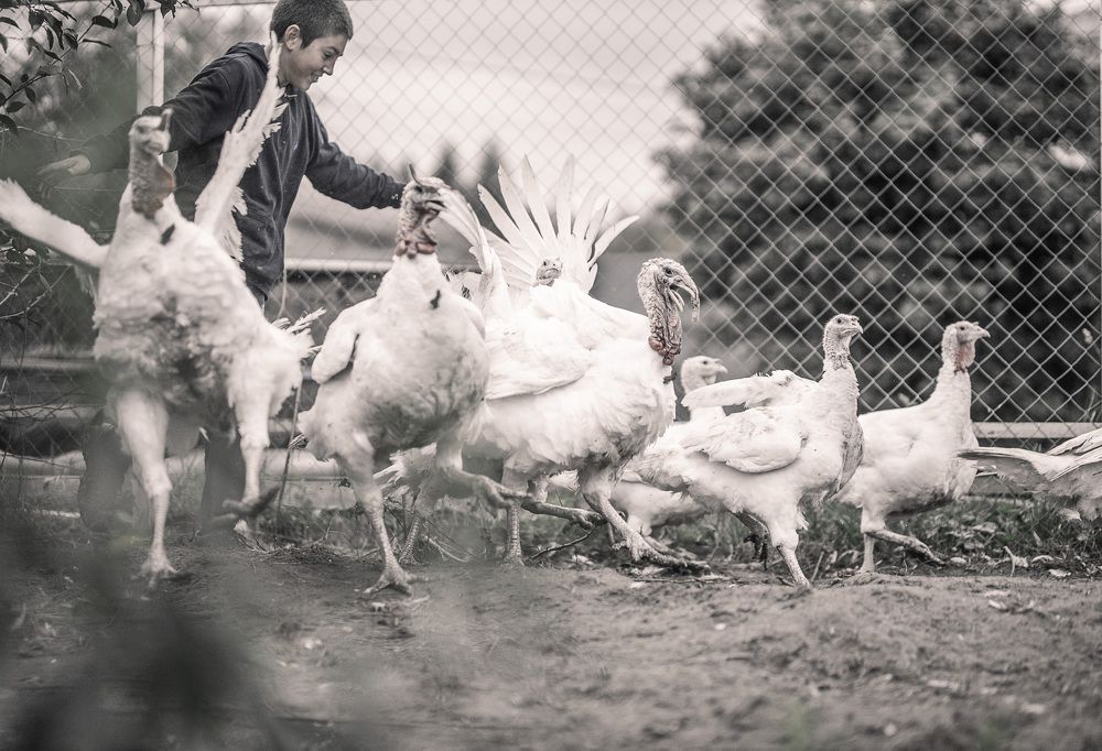 Photograph by Алла Звигунова