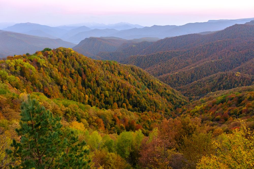 Photograph by Сергей Кравченко