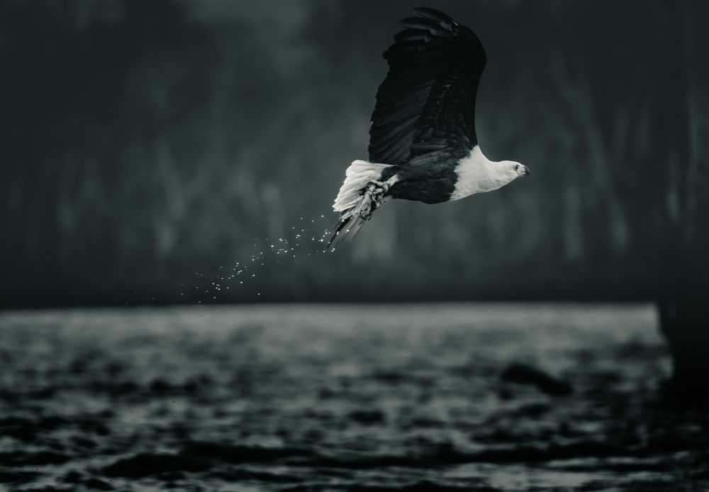 Photograph by Avani Dhanani