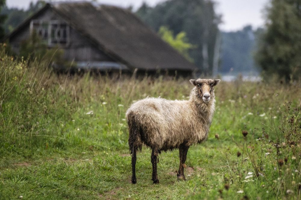 Photograph by Leanid Kulpo