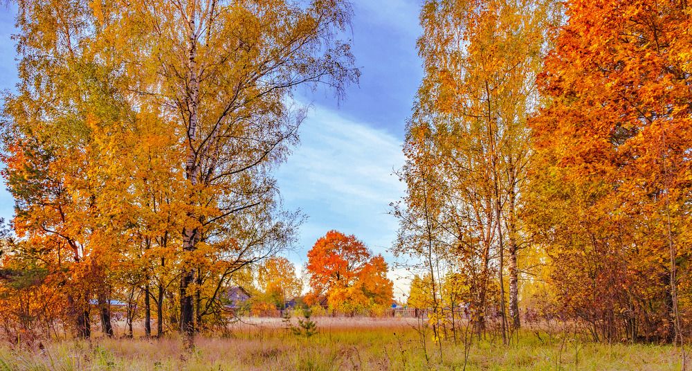 Photograph by Margarita