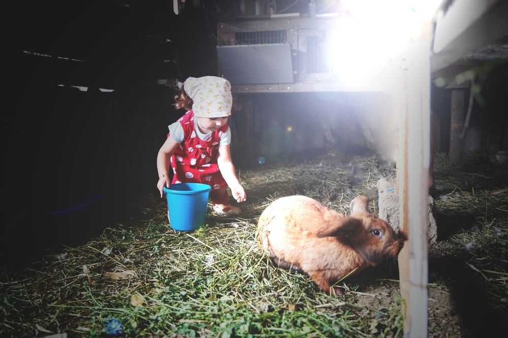 Photograph by Кристина Присакарь