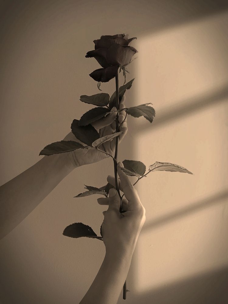 Photograph by Марина Гусева