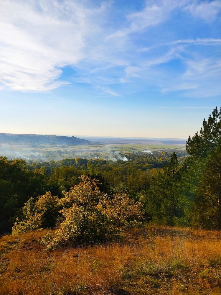 Photograph by Александра