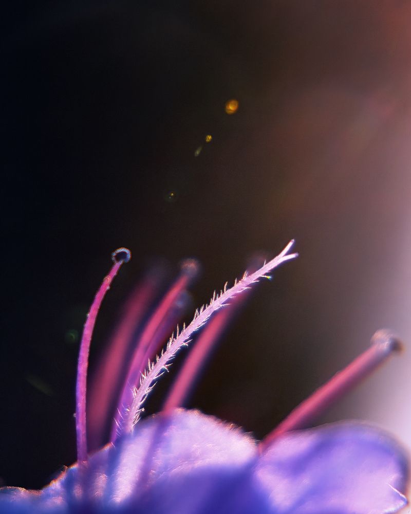 Photograph by Загруев Михаил