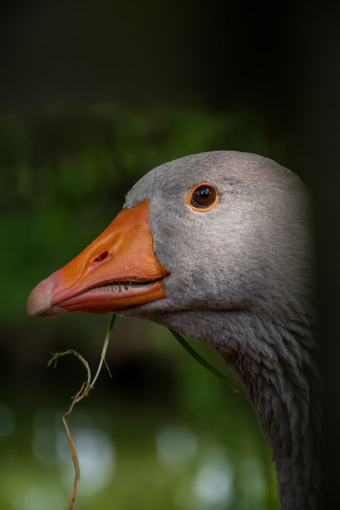 Photograph by Anton Leonchikov