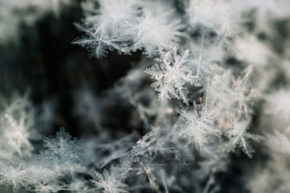 Photograph by Николай Захаров