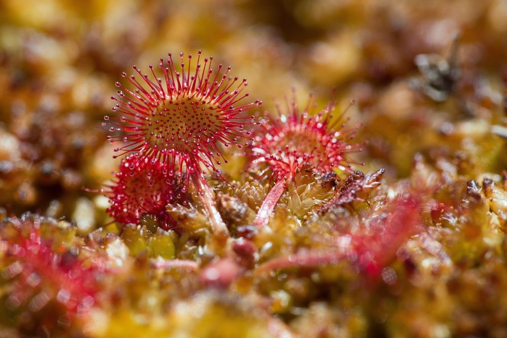 Photograph by Владимир Борозенец