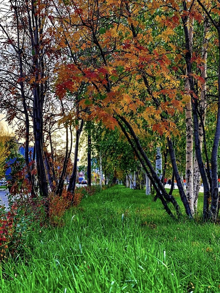 Фотография автора Анастасия Никифорова