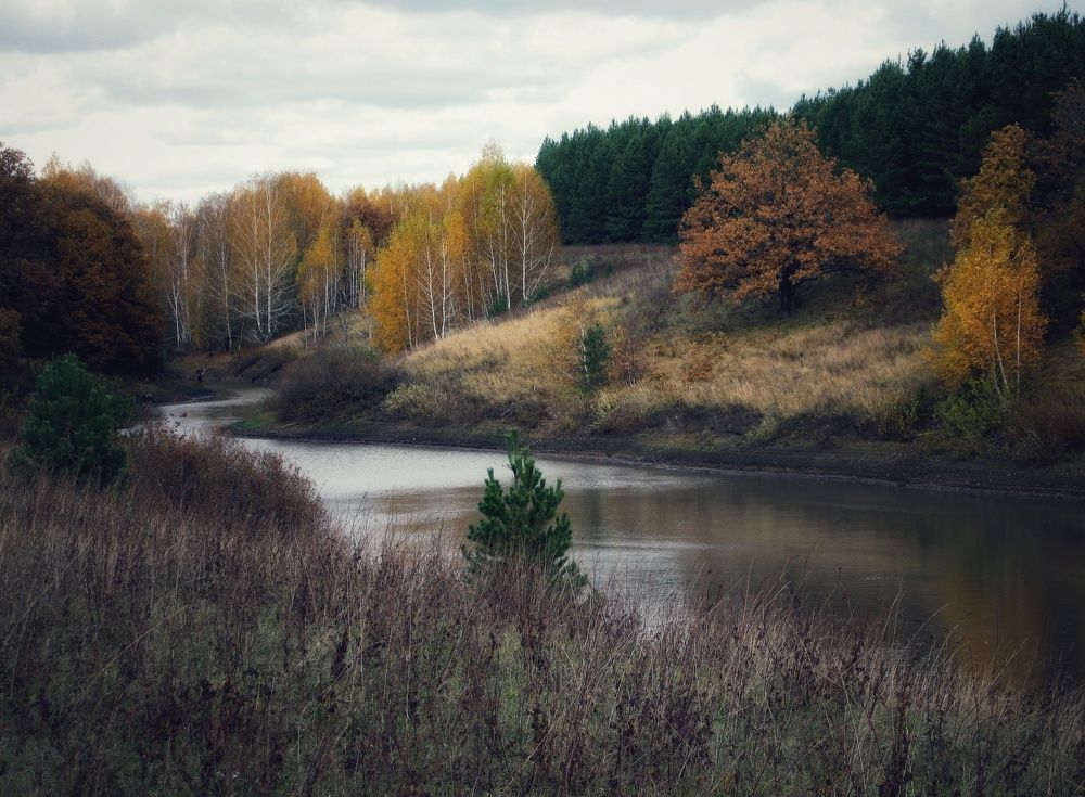 Photograph by Светлана Гаранина