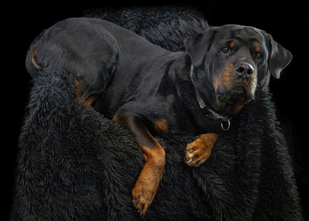 Photograph by Марина Виноградова