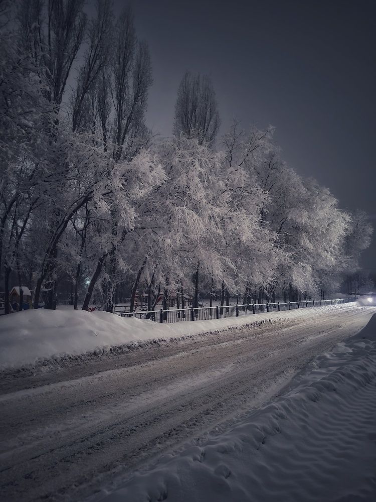 Photograph by Светлана Гаранина