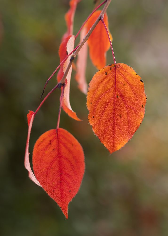 Photograph by Константин Искучеков