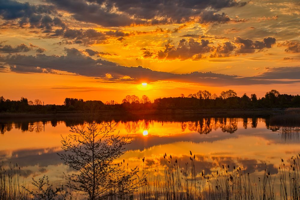 Photograph by Albina Kulikova