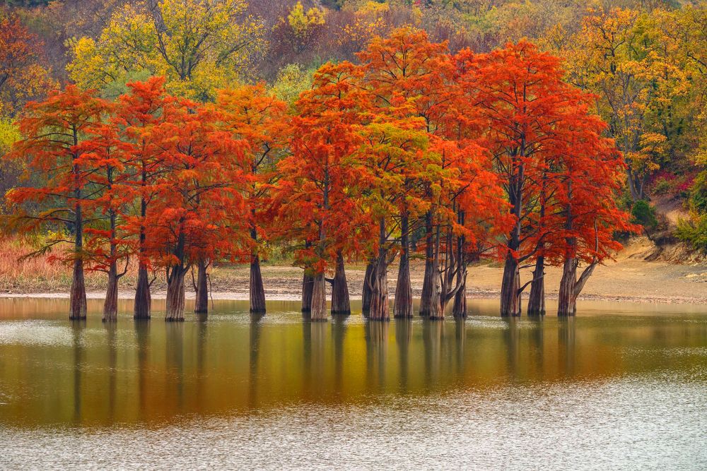 Photograph by Виктор Лагашёв