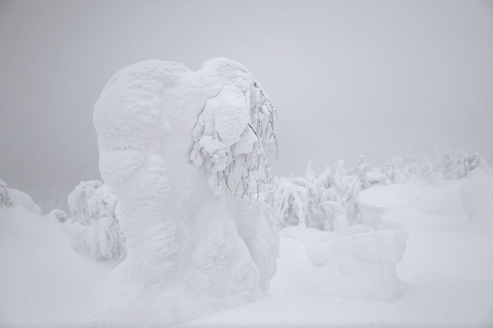 Фотография автора Павел Мартюшев