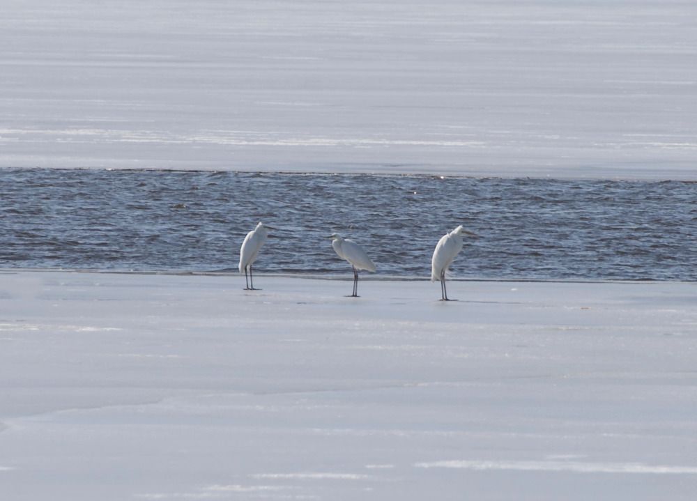 Photograph by Leanid Kulpo