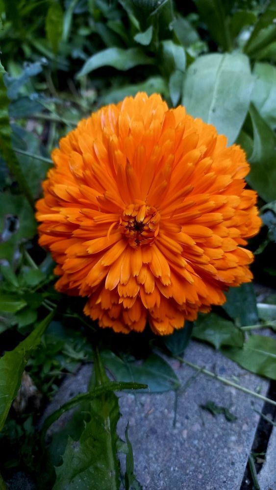 Photograph by Каковкина Ольга