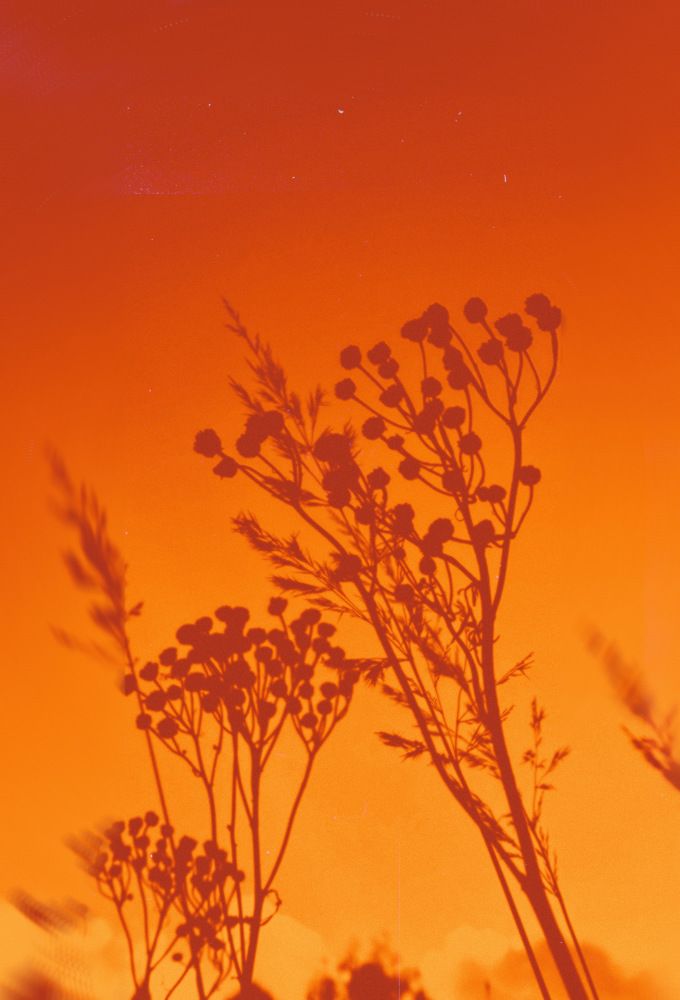 Photograph by Елизавета