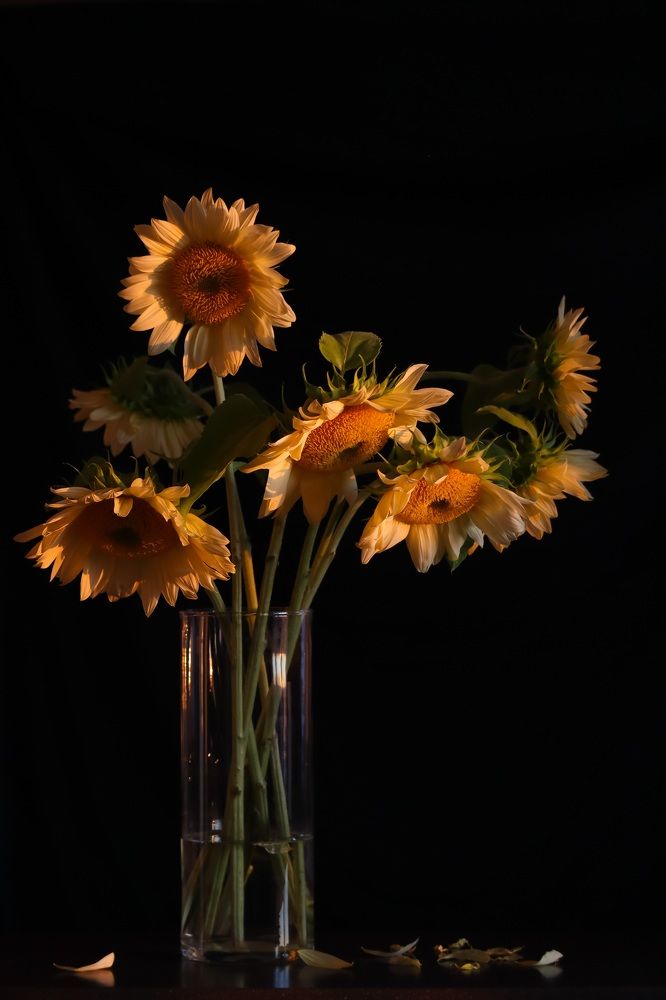 Photograph by Виктория Березуцкая