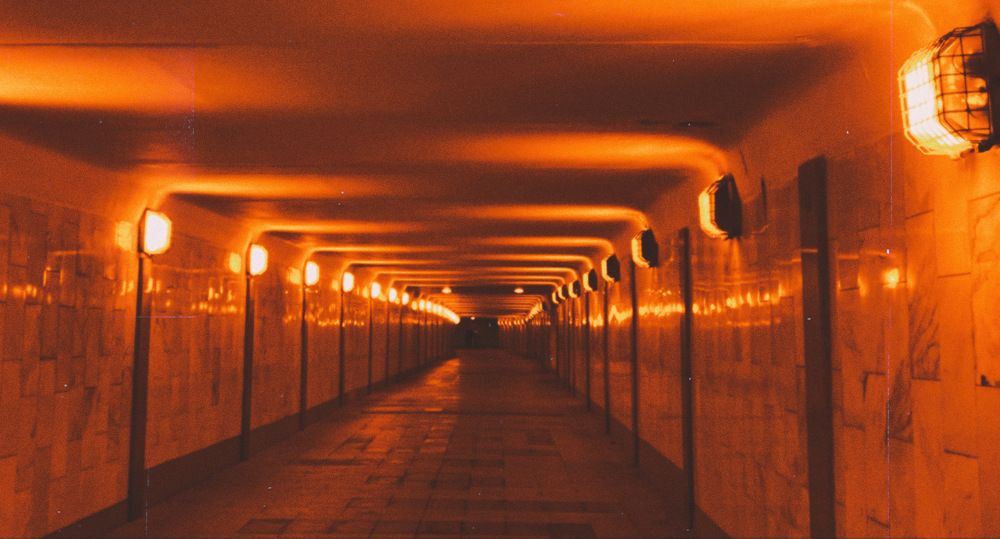 Photograph by Елизавета
