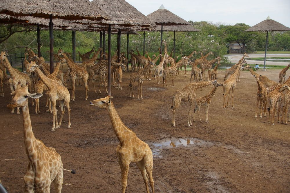 Photograph by Андрей Елькин