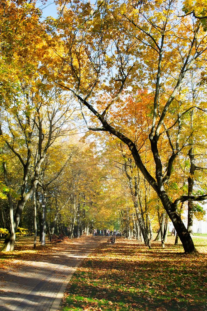 Photograph by Полина Хрол