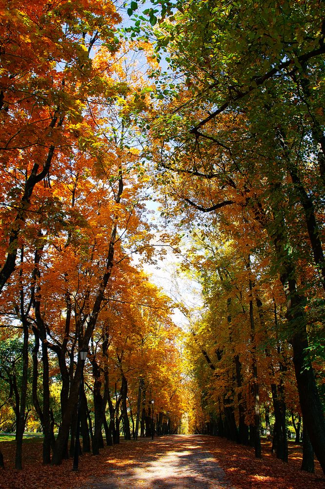 Photograph by Полина Хрол