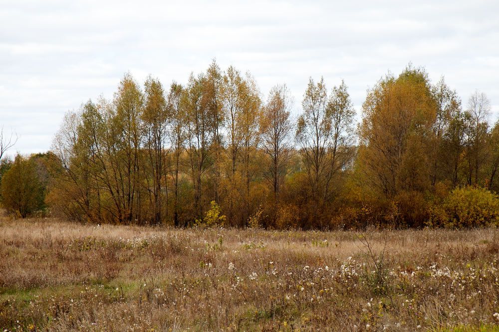 Photograph by Igor Kochkin