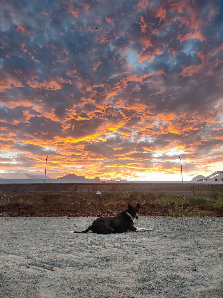 Фотография автора Riju Indira