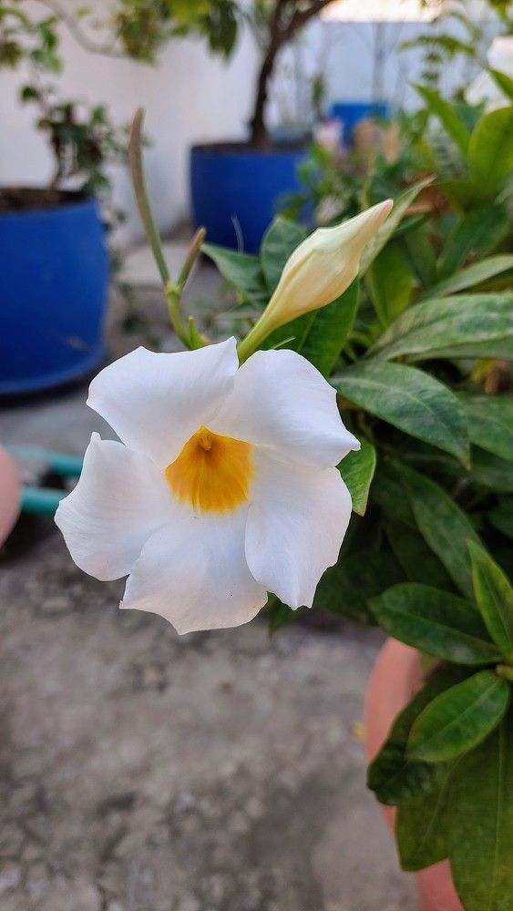 Photograph by Mostafa Shahriar