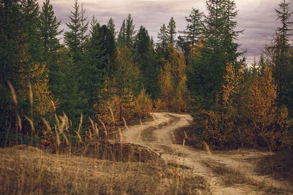 Photograph by Наталья Бондарева