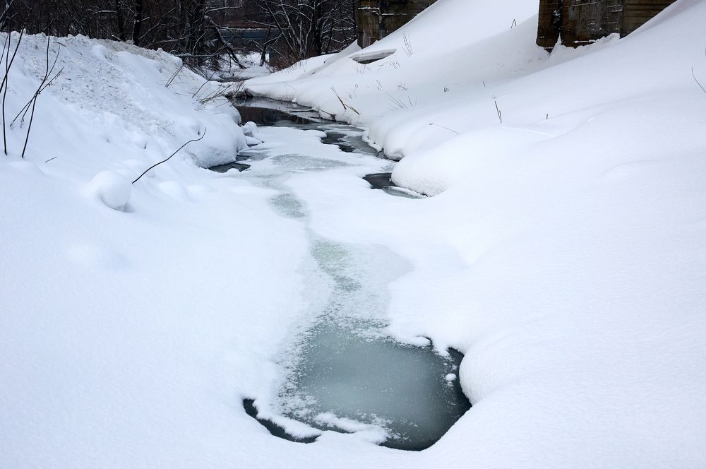 Photograph by Igor Kochkin