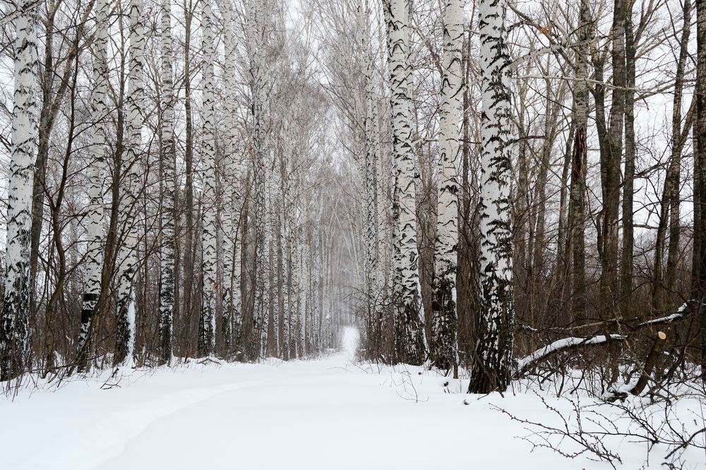 Photograph by Igor Kochkin
