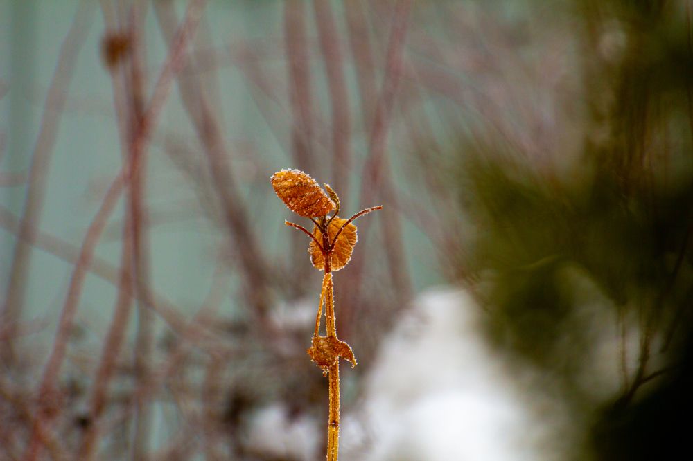 Photograph by Алексей