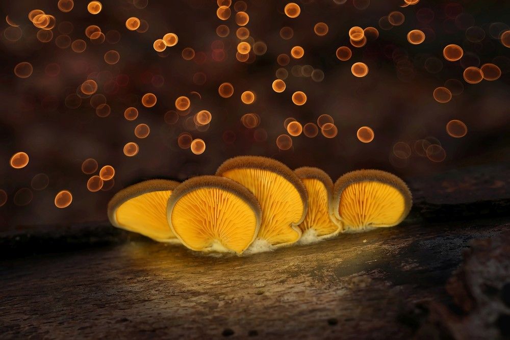 Photograph by Сергей Прокофьев